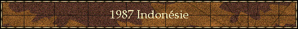 1987 Indonsie