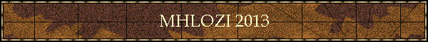 MHLOZI 2013