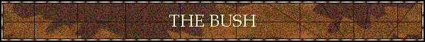 THE BUSH